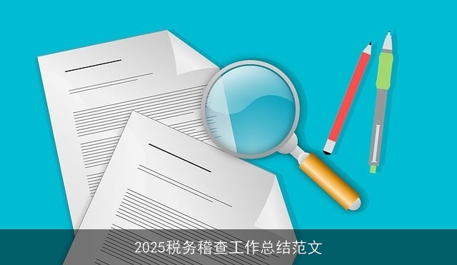 2025税务稽查工作总结范文