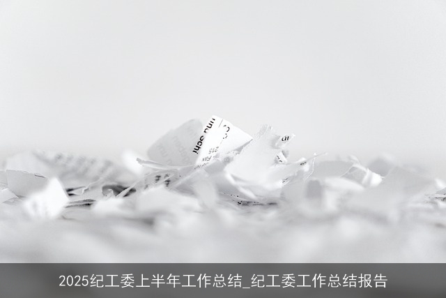 2025纪工委上半年工作总结_纪工委工作总结报告