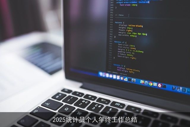 2025统计员个人年终工作总结