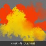 2025统计局个人工作总结