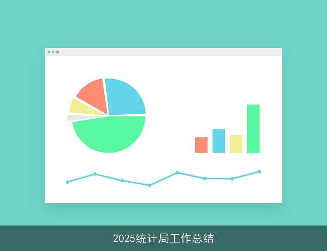 2025统计局工作总结