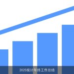 2025统计年终工作总结