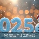 2025综治年终工作总结
