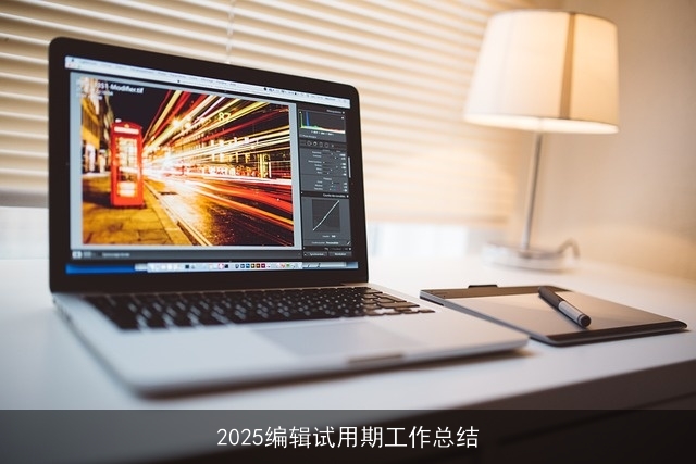 2025编辑试用期工作总结