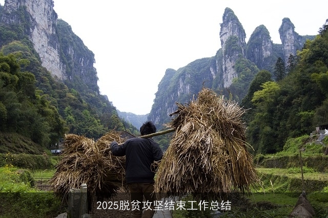 2025脱贫攻坚结束工作总结