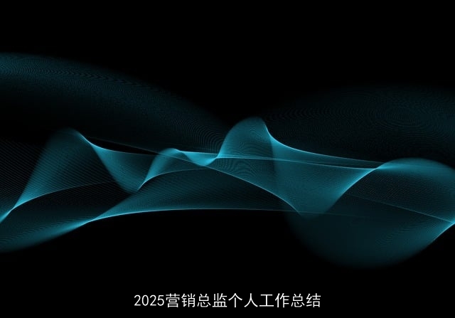 2025营销总监个人工作总结