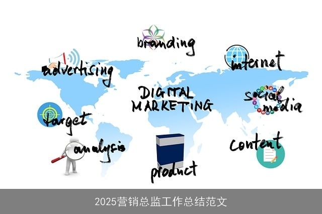 2025营销总监工作总结范文