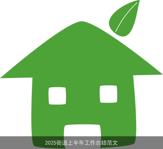 2025街道上半年工作总结范文
