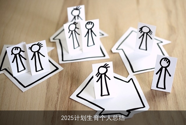 2025计划生育个人总结