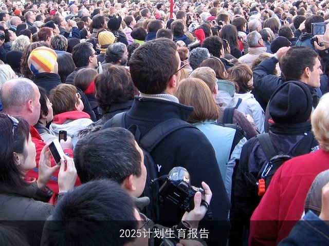 2025计划生育报告