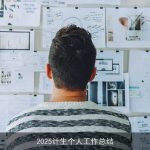 2025计生个人工作总结