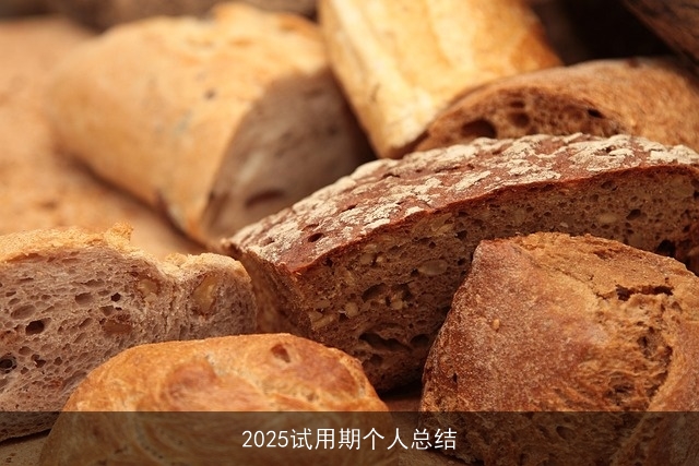 2025试用期个人总结