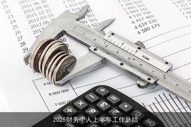 2025财务个人上半年工作总结