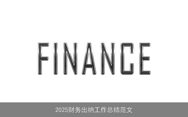 2025财务出纳工作总结范文