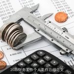 2025财务工作个人工作总结范文