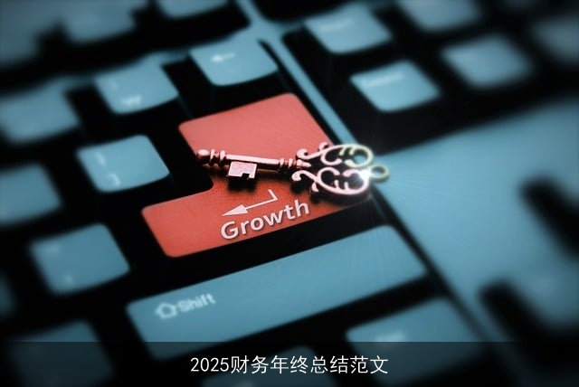 2025财务年终总结范文