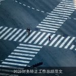 2025财务转正工作总结范文