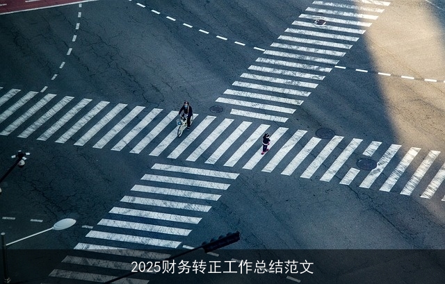 2025财务转正工作总结范文