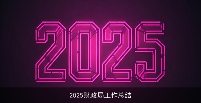 2025财政局工作总结