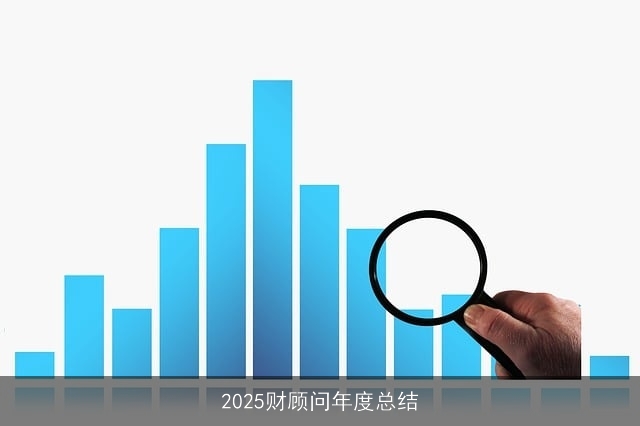2025财顾问年度总结