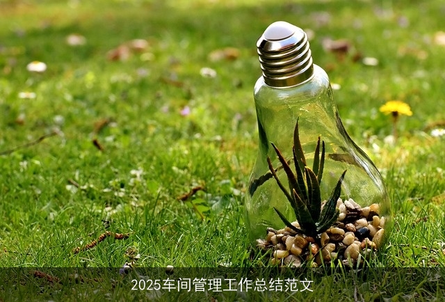 2025车间管理工作总结范文