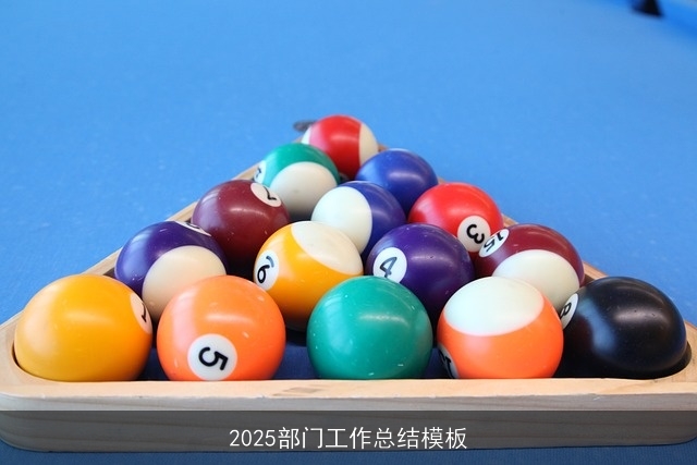 2025部门工作总结模板