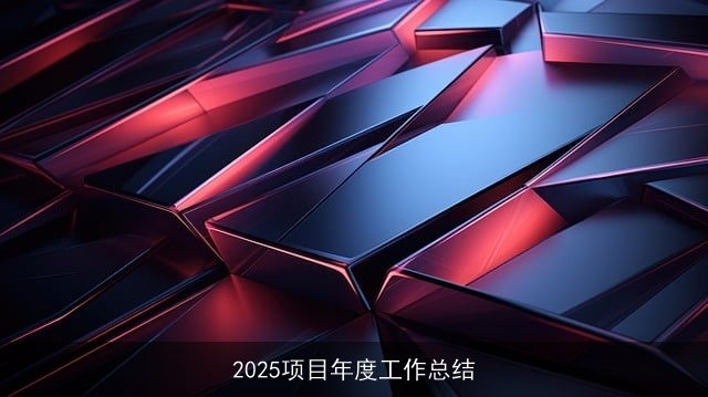 2025项目年度工作总结