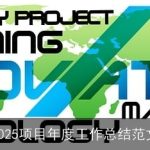 2025项目年度工作总结范文