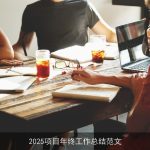 2025项目年终工作总结范文