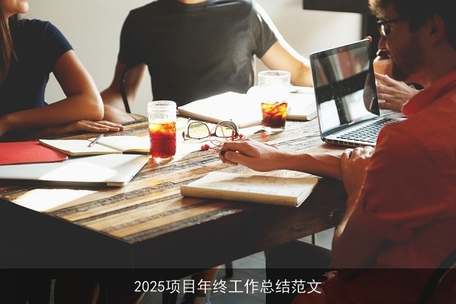2025项目年终工作总结范文