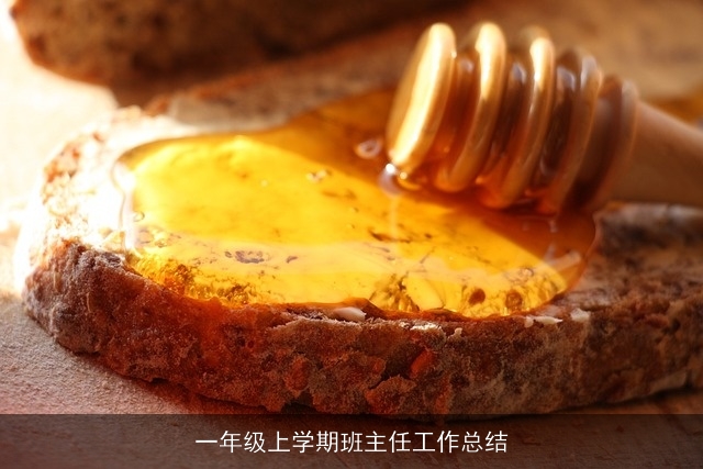 一年级上学期班主任工作总结