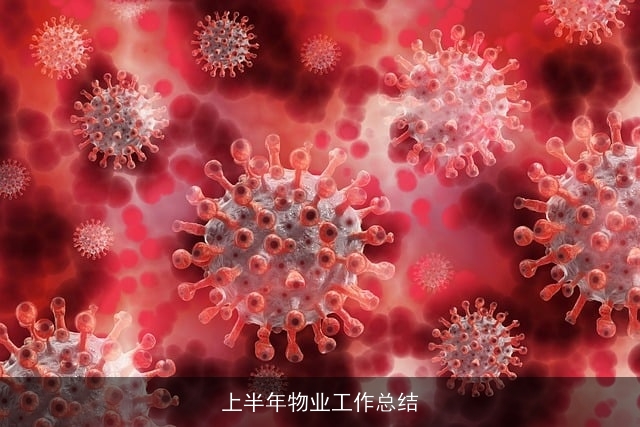 上半年物业工作总结