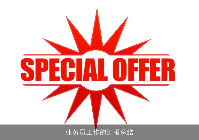 业务员工作的汇报总结