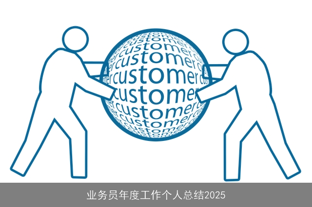 业务员年度工作个人总结2025