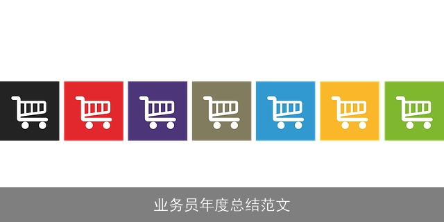业务员年度总结范文