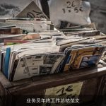 业务员年终工作总结范文