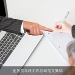 业务员年终工作总结范文集锦
