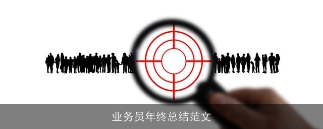 业务员年终总结范文