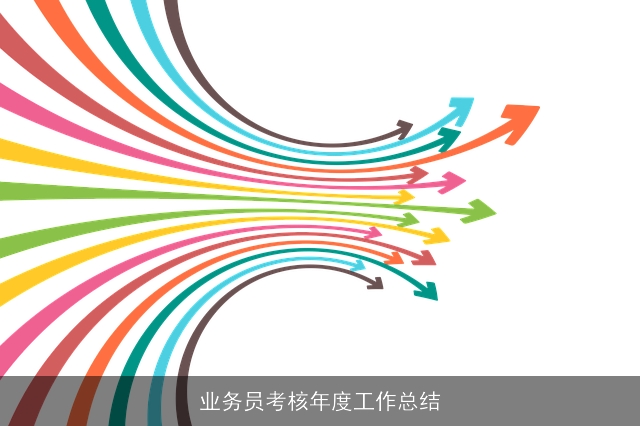 业务员考核年度工作总结