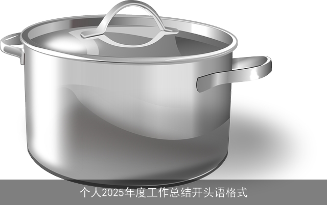 个人2025年度工作总结开头语格式