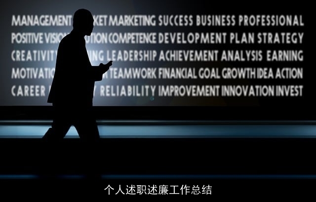 个人述职述廉工作总结