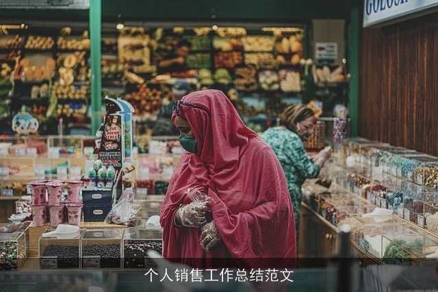 个人销售工作总结范文