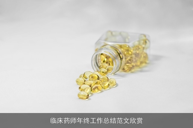临床药师年终工作总结范文欣赏