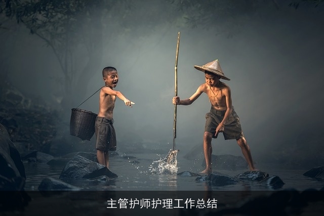 主管护师护理工作总结