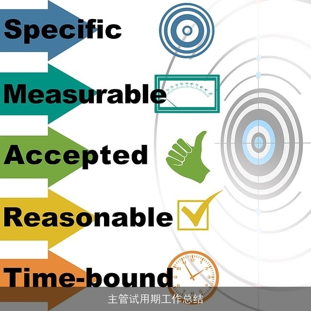 主管试用期工作总结