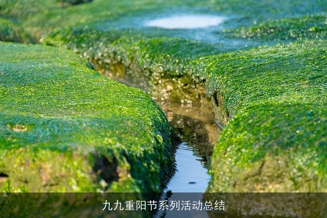 九九重阳节系列活动总结