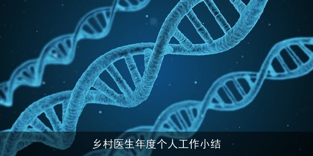 乡村医生年度个人工作小结