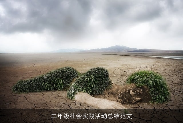 二年级社会实践活动总结范文