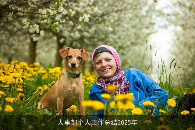 人事部个人工作总结2025年