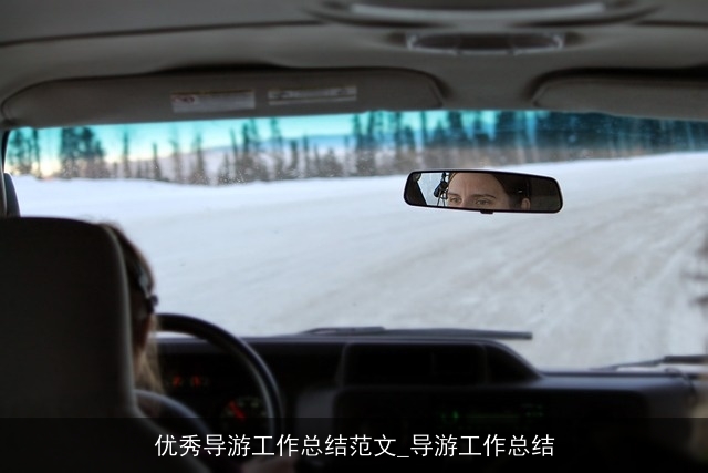 优秀导游工作总结范文_导游工作总结